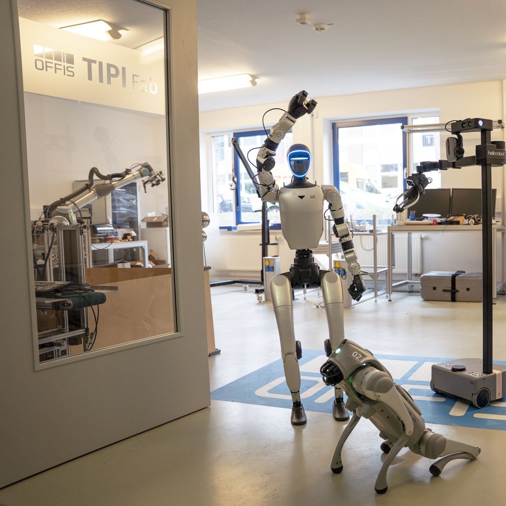 Foto von zwei Robotern